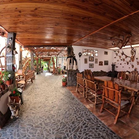 Hotel Casa Vlad à Haţeg Extérieur photo